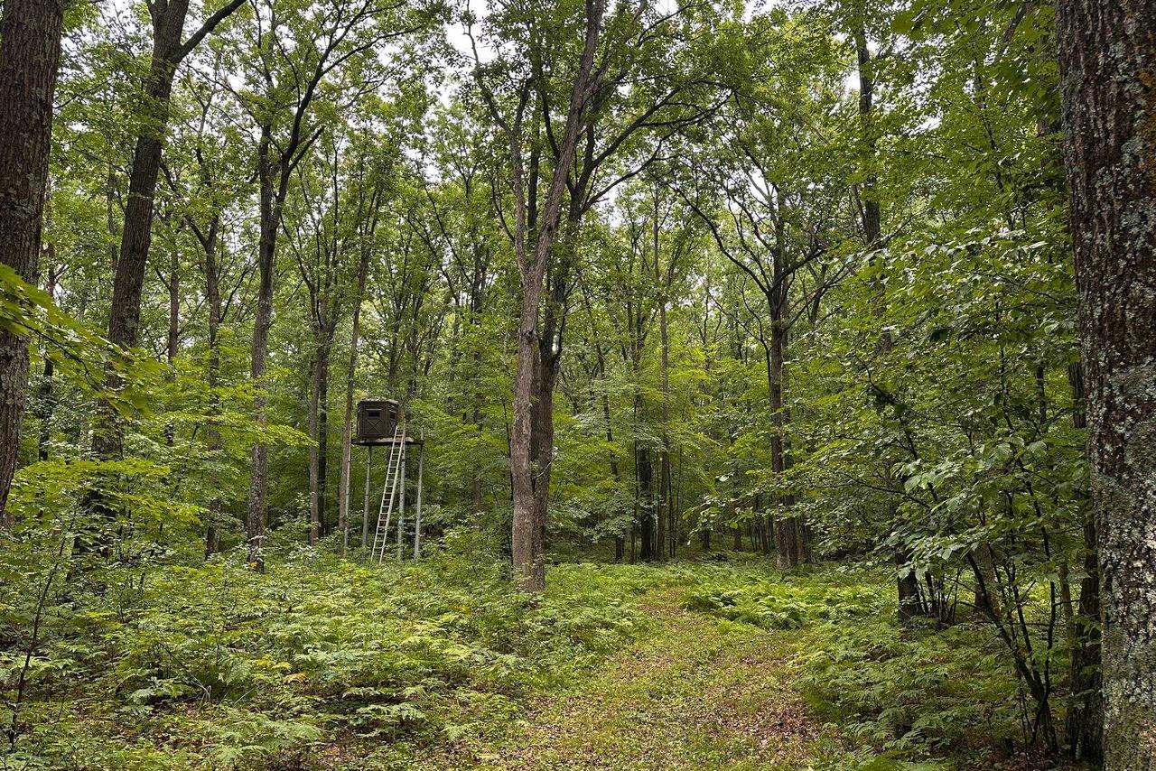 0000 Heintown Road, Willard, WI 54493