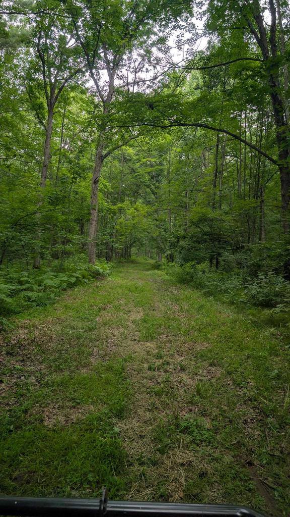 0000 Heintown Road, Willard, WI 54493