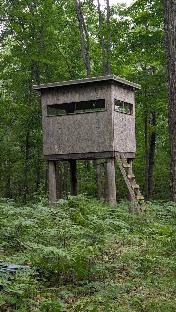 0000 Heintown Road, Willard, WI 54493