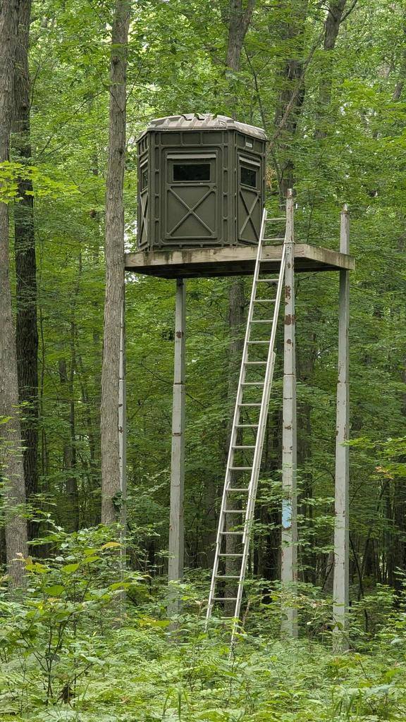 0000 Heintown Road, Willard, WI 54493