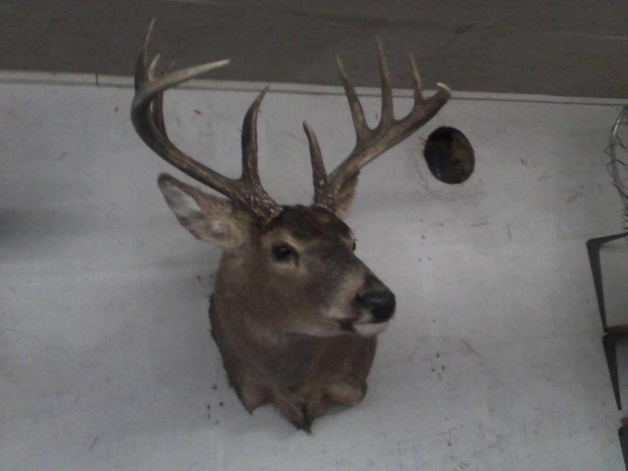 0000 Heintown Road, Willard, WI 54493