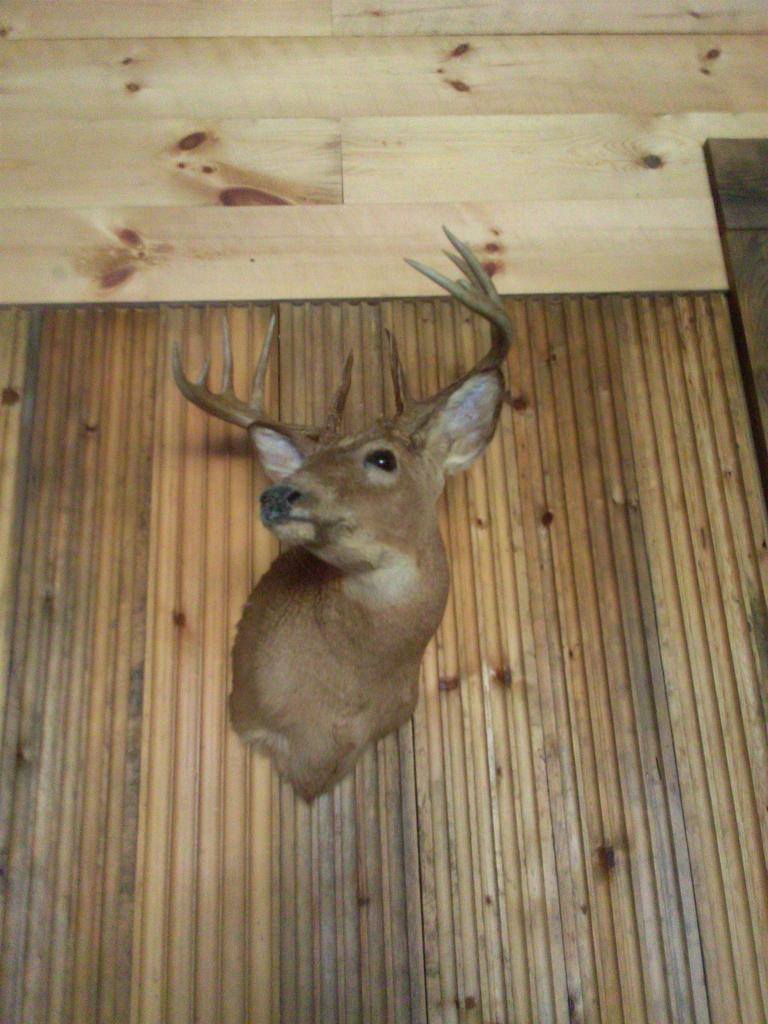 0000 Heintown Road, Willard, WI 54493