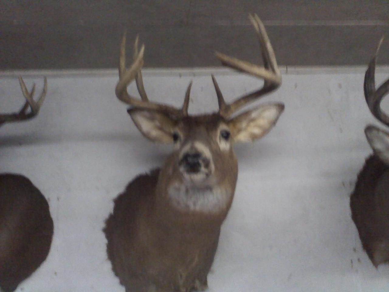 0000 Heintown Road, Willard, WI 54493