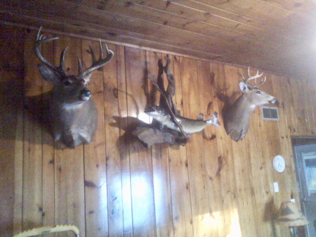 0000 Heintown Road, Willard, WI 54493