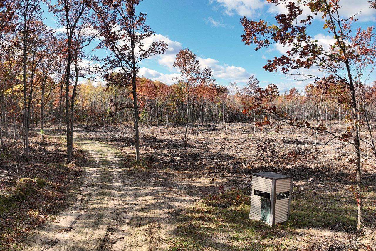 0000 Heintown Road, Willard, WI 54493