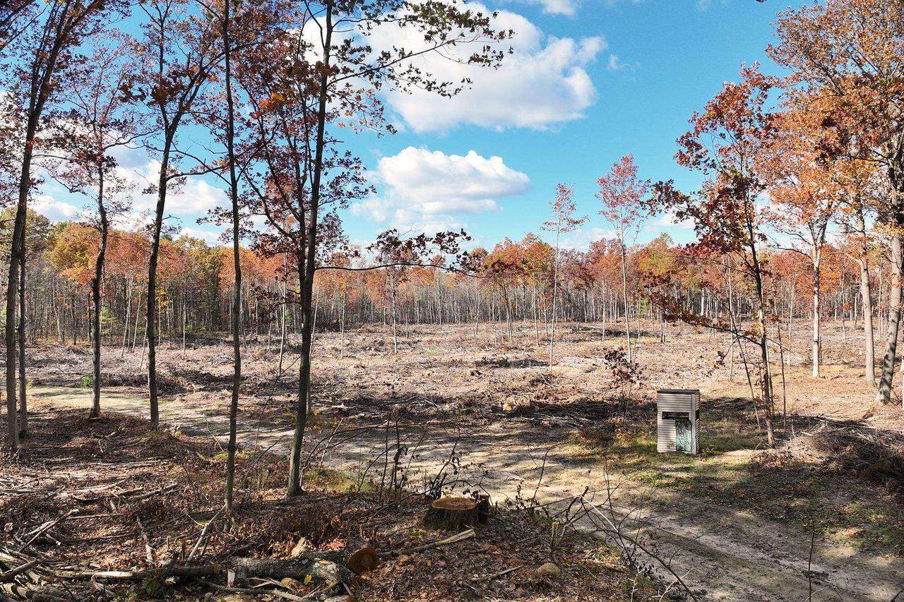 0000 Heintown Road, Willard, WI 54493