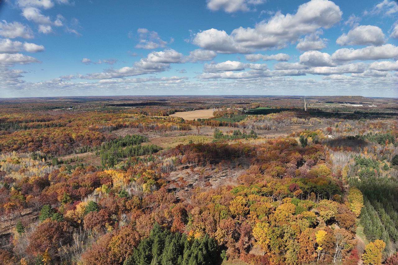 0000 Heintown Road, Willard, WI 54493