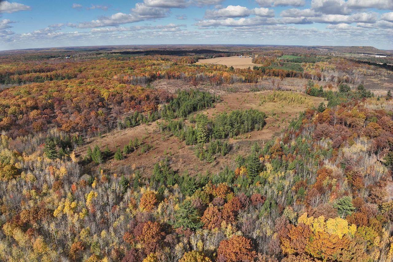 0000 Heintown Road, Willard, WI 54493