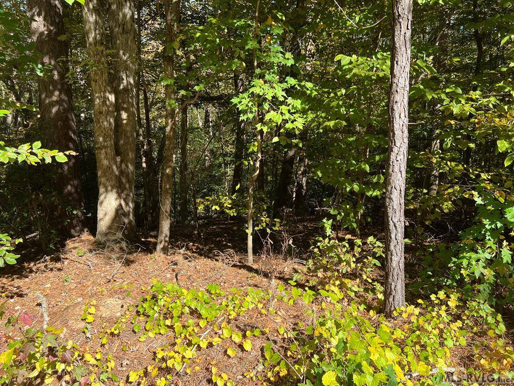 Lot 42 Waynes Ct, Bracey, VA 23919