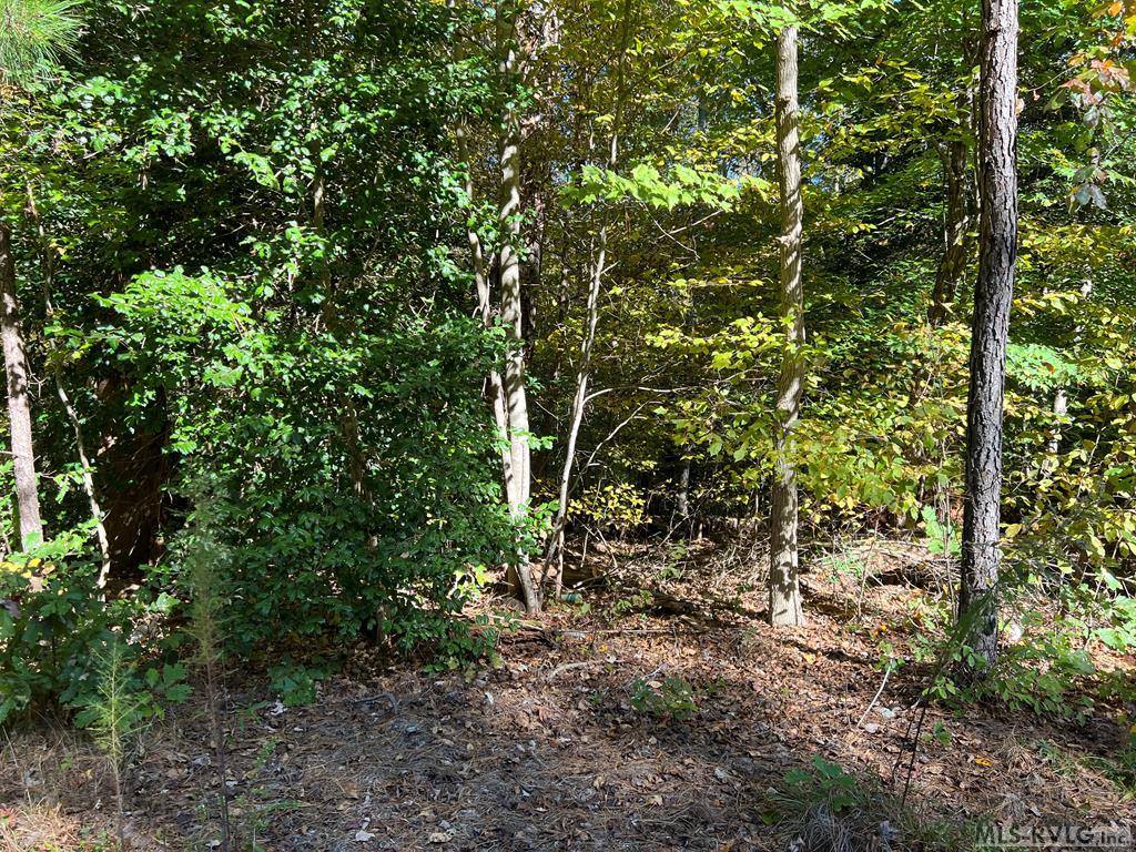 Lot 42 Waynes Ct, Bracey, VA 23919