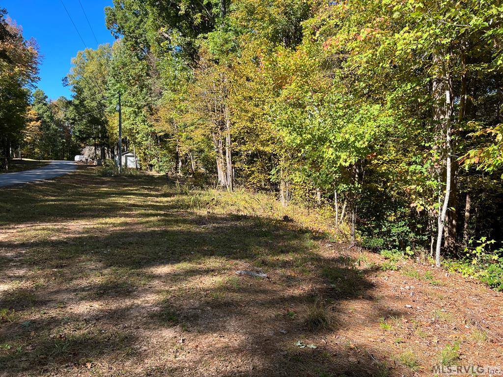Lot 42 Waynes Ct, Bracey, VA 23919
