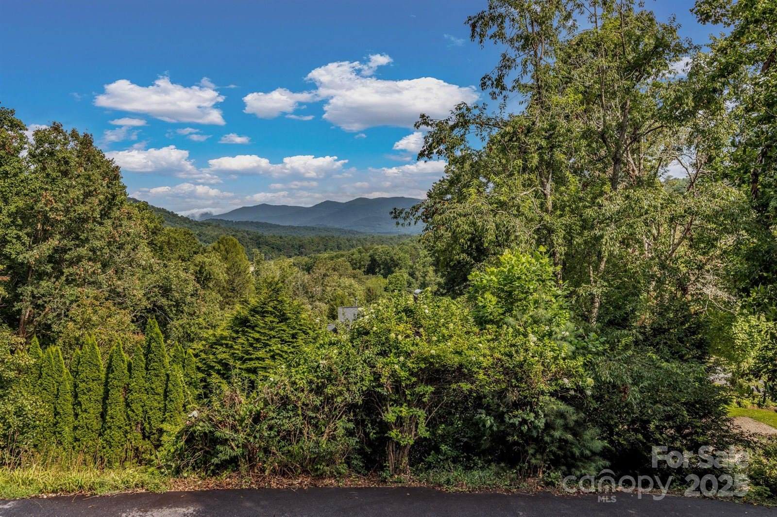 31 Mark Twain Road, Asheville, NC 28805