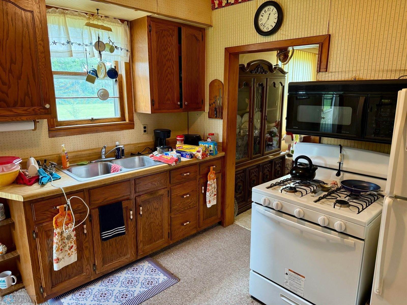 16288 220th Avenue NE, Thief River Falls, MN 56701