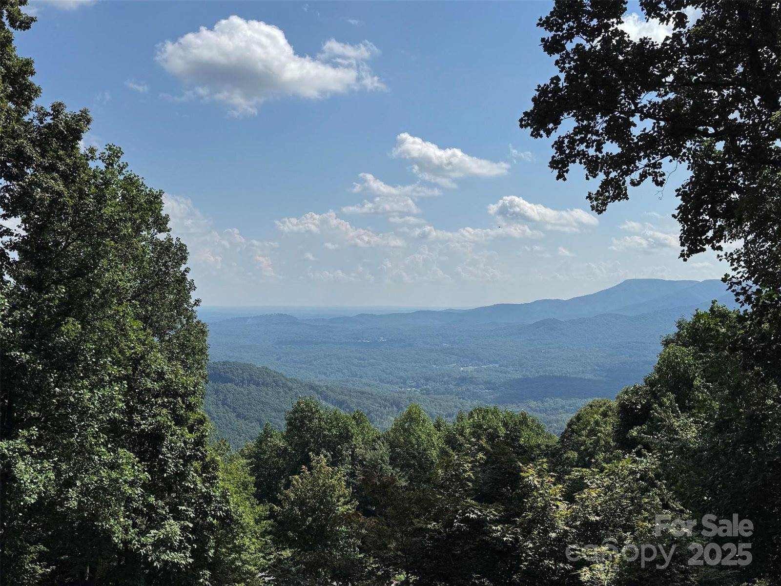 1995 Hemlock Trail, Columbus, NC 28722