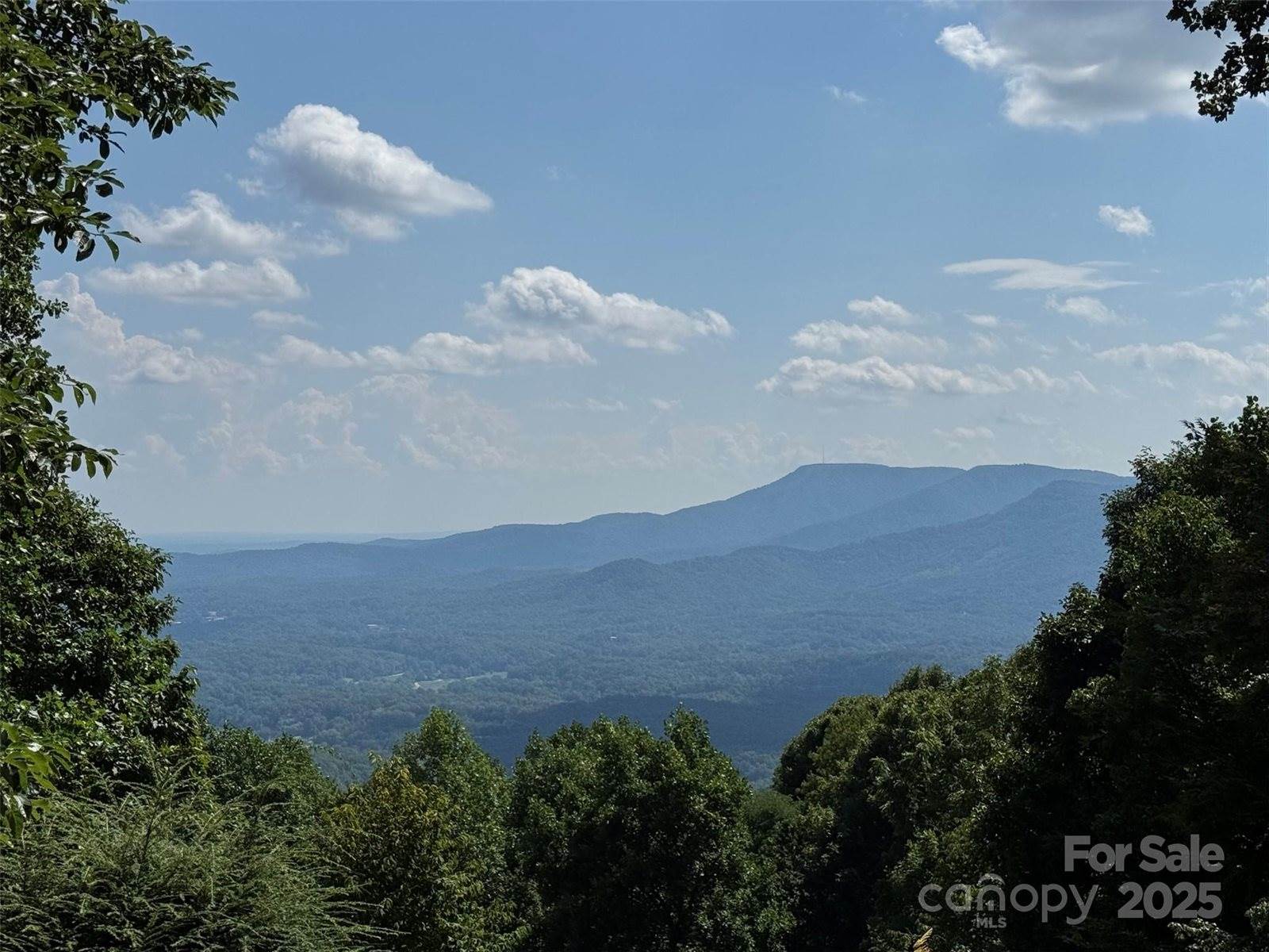 1995 Hemlock Trail, Columbus, NC 28722