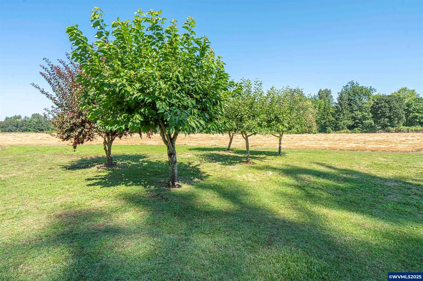 36765 Glaser Dr, Scio, OR 97374