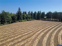 36765 Glaser Dr, Scio, OR 97374