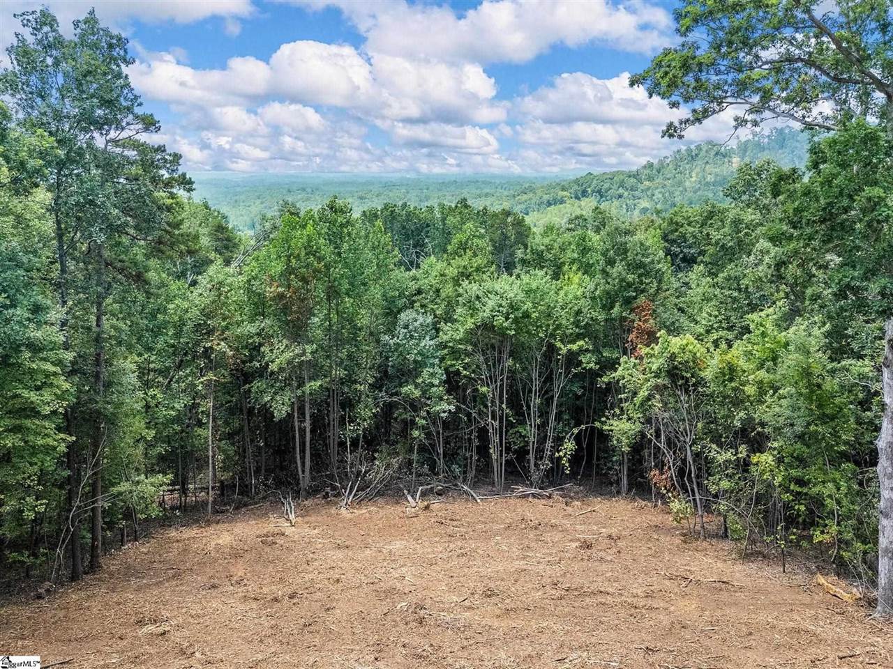 222 Bird Mountain Ridge, Landrum, SC 29356