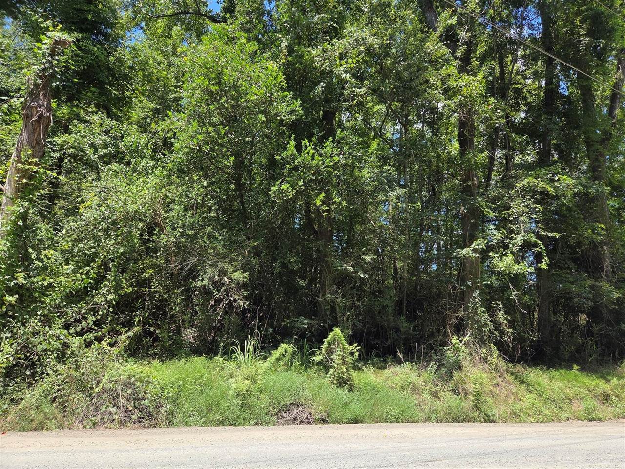 Lot 6 Hill Branch Road, Ridgeville, SC 29472