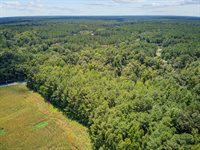 Lot 6 Hill Branch Road, Ridgeville, SC 29472