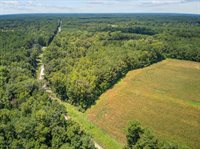 Lot 6 Hill Branch Road, Ridgeville, SC 29472