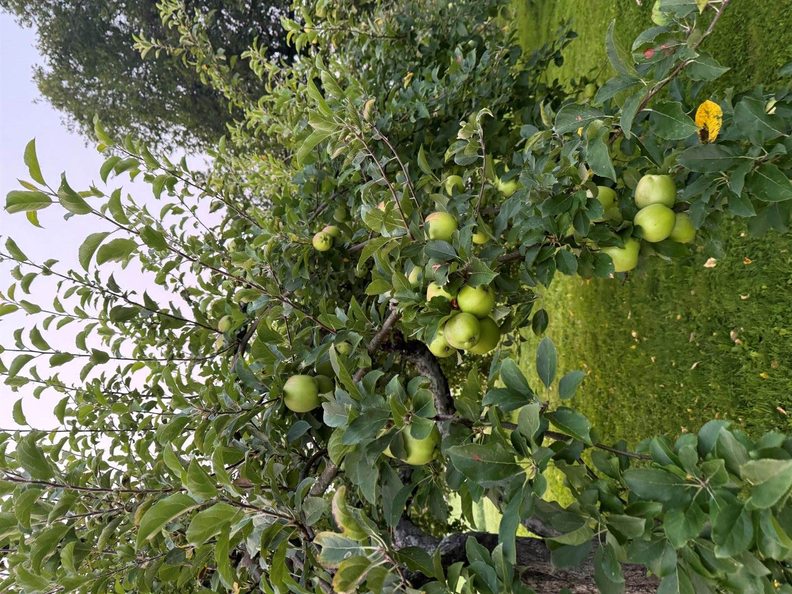 356 Range Road, Atkinson, ME 04426