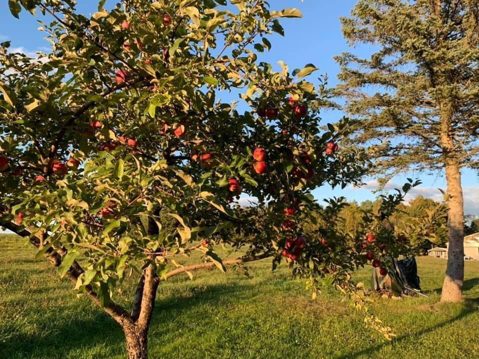 356 Range Road, Atkinson, ME 04426