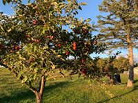 356 Range Road, Atkinson, ME 04426