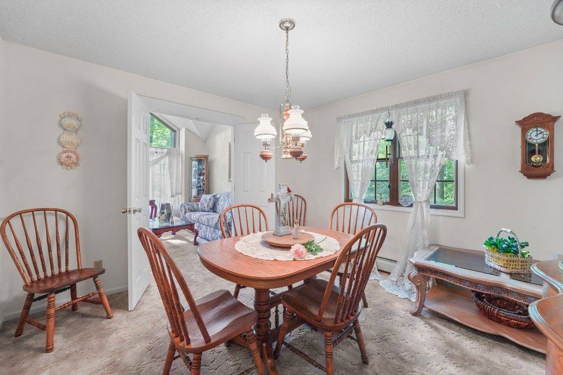 344 Shady Hill Road, Apalachin, NY 13732