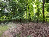 7100 Lea Wood Lane, Charlotte, NC 28227