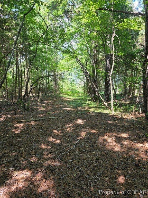 000 Horn Harbor Avenue, New Point, VA 23125