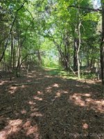 000 Horn Harbor Avenue, New Point, VA 23125