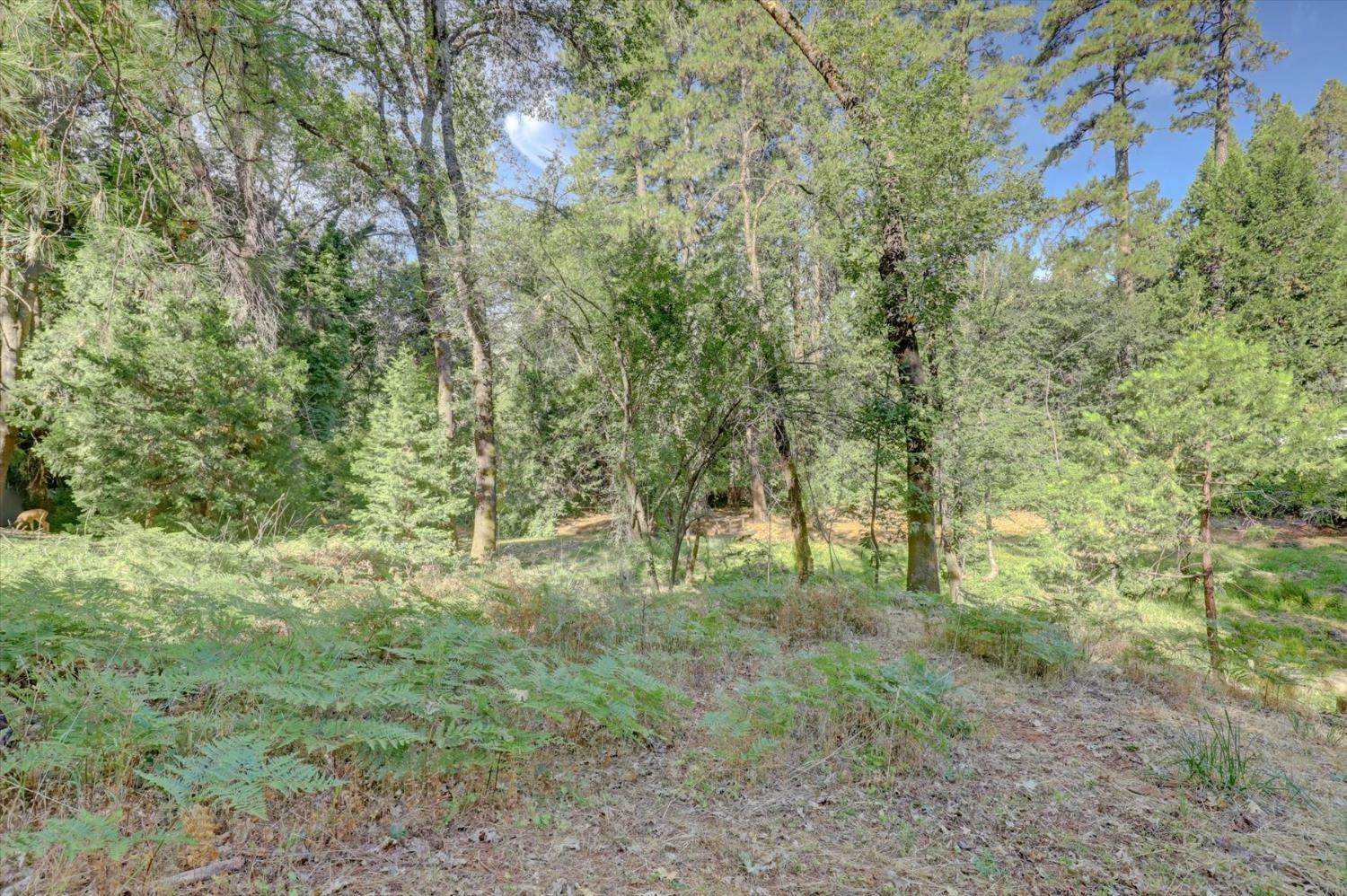 11312 Roosevelt Drive, Grass Valley, CA 95945