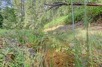 11312 Roosevelt Drive, Grass Valley, CA 95945