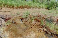 11312 Roosevelt Drive, Grass Valley, CA 95945