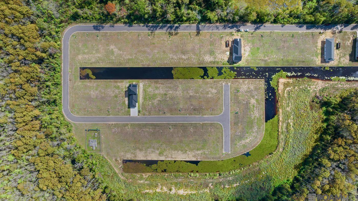 12856 St Lucia Dr, Maurepas, LA 70449