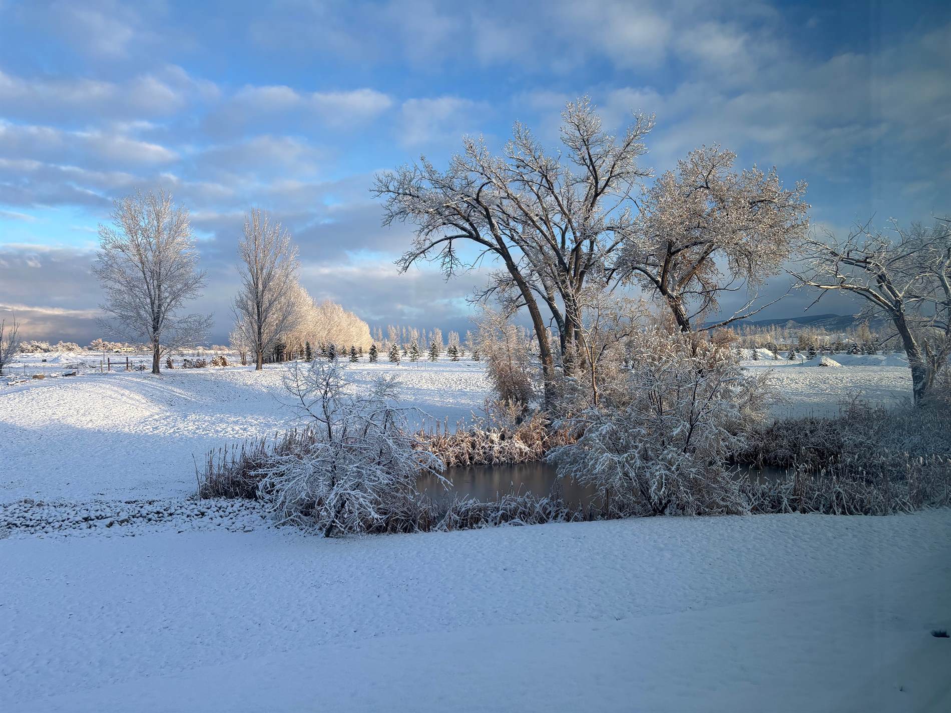 901 6530 Road, Montrose, CO 81401