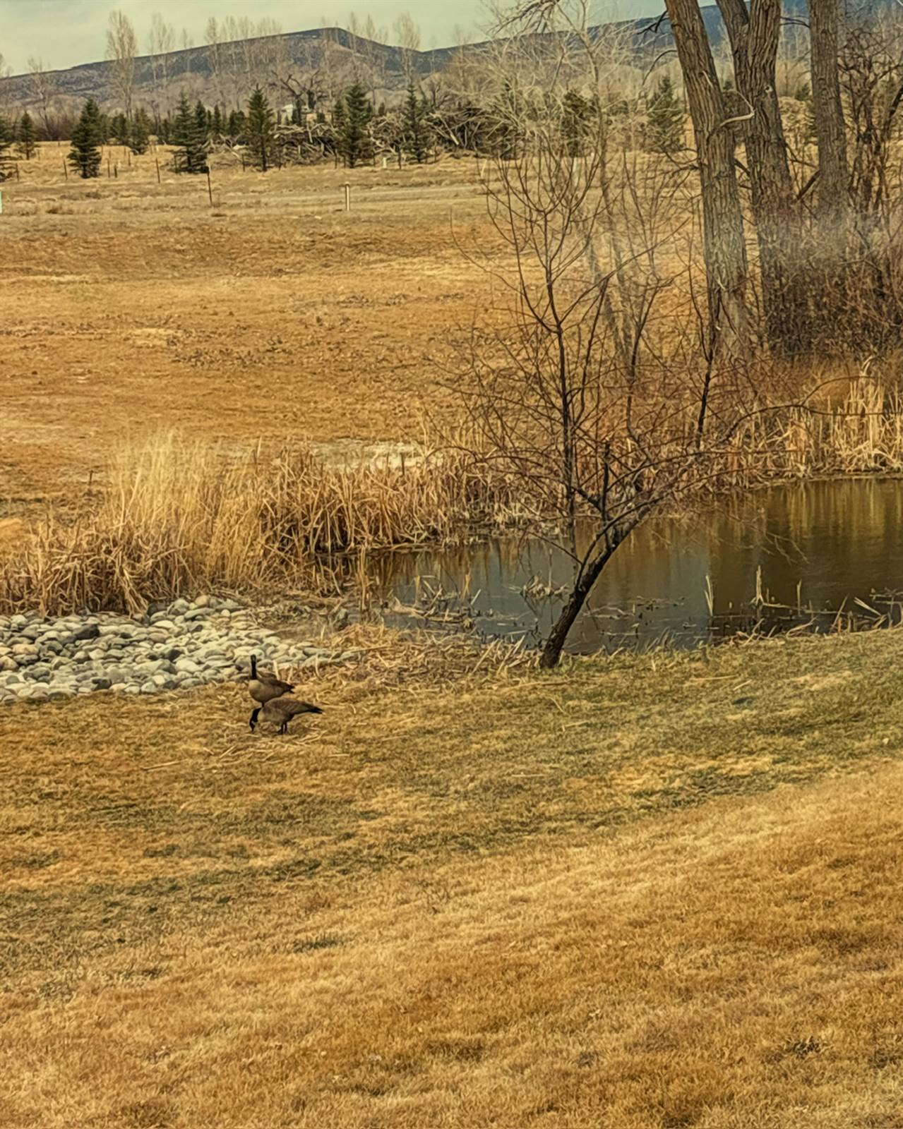 901 6530 Road, Montrose, CO 81401