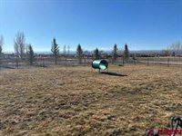 901 6530 Road, Montrose, CO 81401