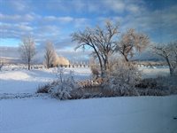 901 6530 Road, Montrose, CO 81401