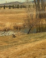 901 6530 Road, Montrose, CO 81401