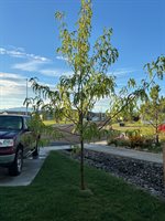 901 6530 Road, Montrose, CO 81401