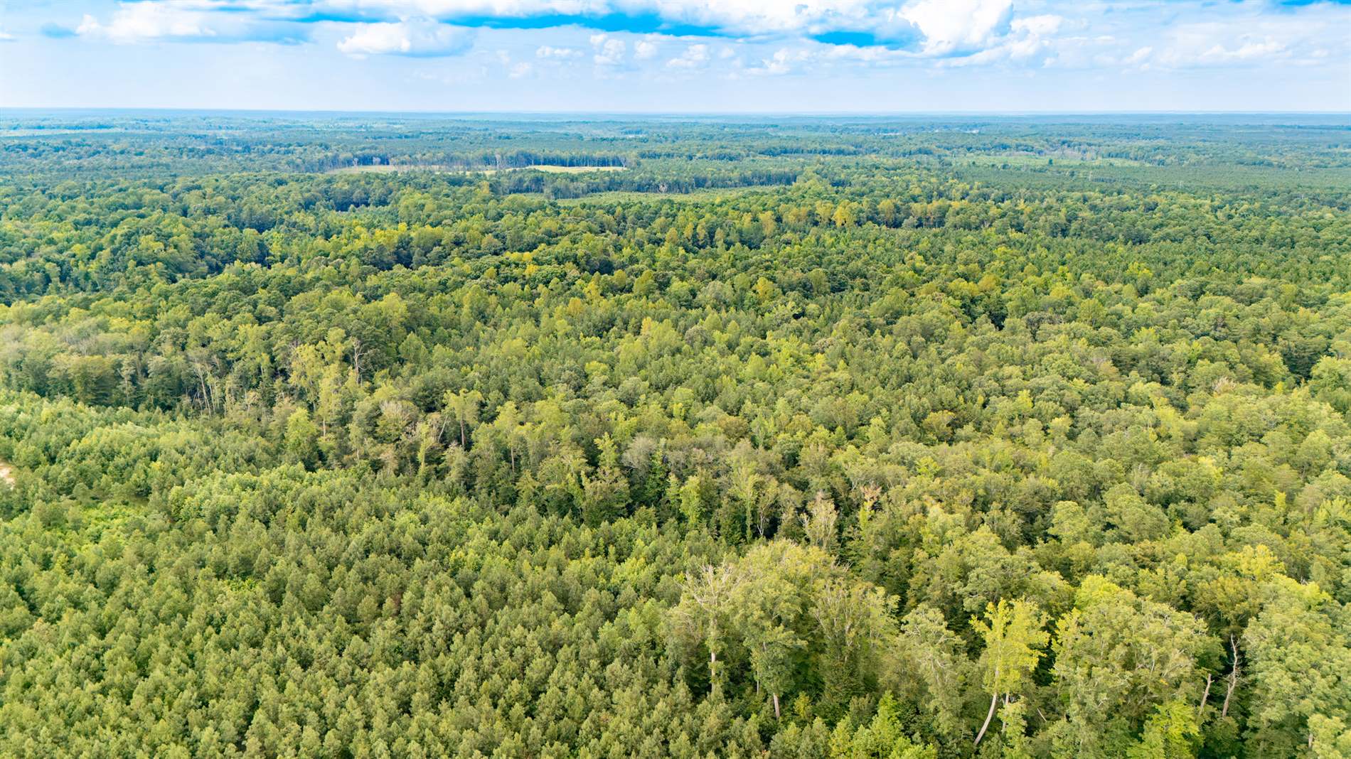 10.88 AC Beech Creek Road, Gloucester County, VA 23061