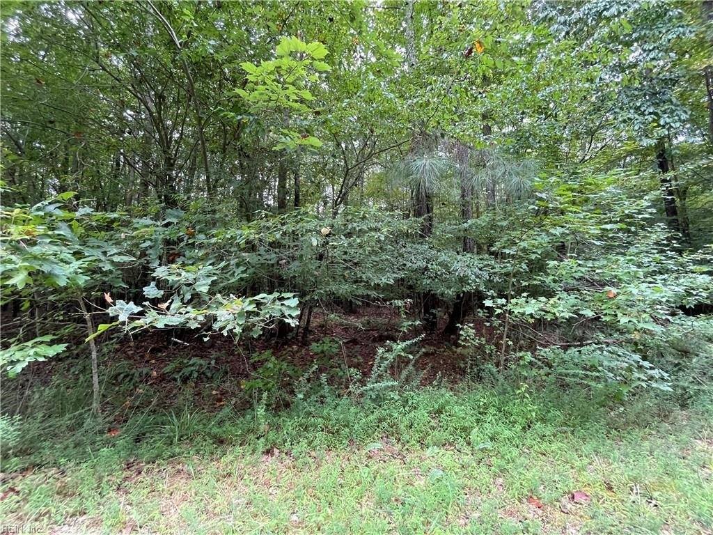 10.88 AC Beech Creek Road, Gloucester County, VA 23061