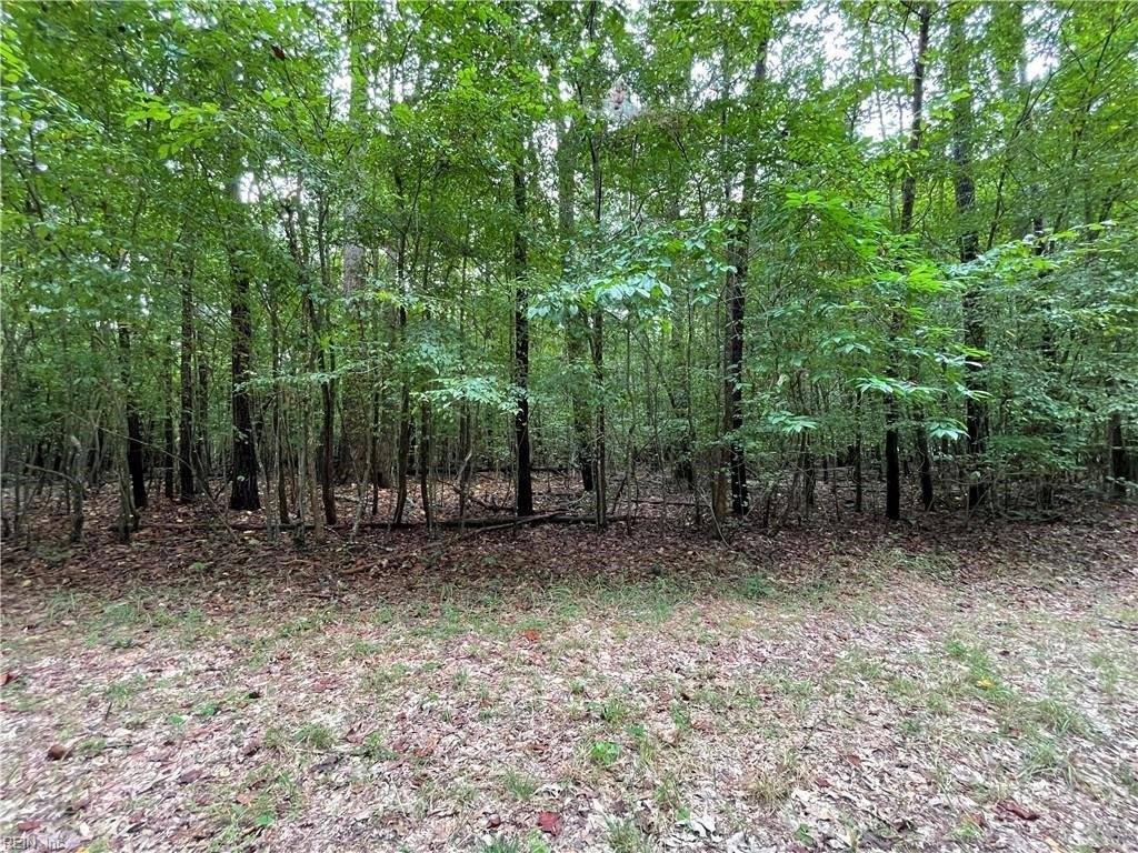 10.88 AC Beech Creek Road, Gloucester County, VA 23061