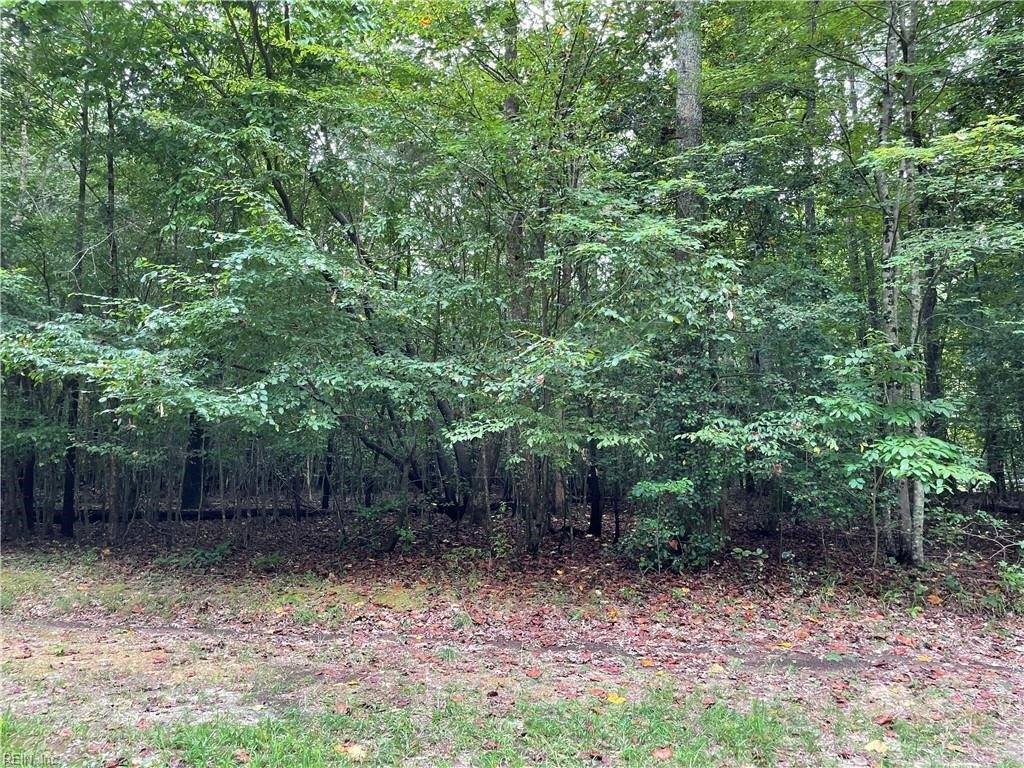 10.88 AC Beech Creek Road, Gloucester County, VA 23061