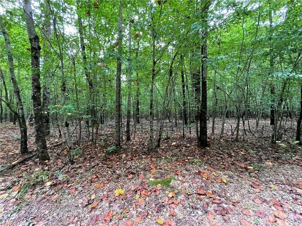 10.88 AC Beech Creek Road, Gloucester County, VA 23061