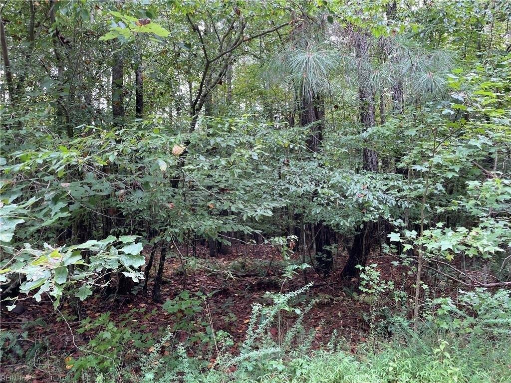 10.88 AC Beech Creek Road, Gloucester County, VA 23061