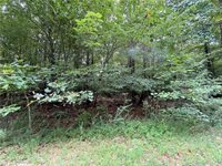 10.88 AC Beech Creek Road, Gloucester County, VA 23061