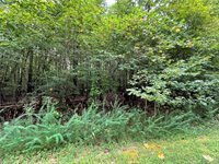 10.88 AC Beech Creek Road, Gloucester County, VA 23061